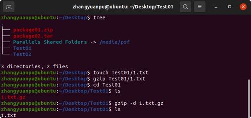 Linux操作系统初探 从计算机基础到入门实践